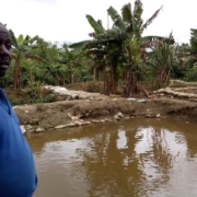 one-of-the-1000-fish-farmers-networked-into-USAID-MARKETS-II-Aquaculture-in-Oyo-State-in-the-year-2015