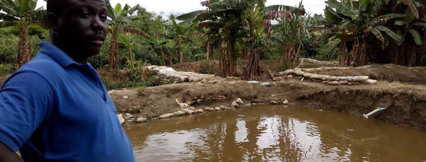 one-of-the-1000-fish-farmers-networked-into-USAID-MARKETS-II-Aquaculture-in-Oyo-State-in-the-year-2015