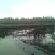 FUNDAMENTALS OF CHIKOKO POND MANAGEMENT