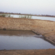 Understanding Fish Culture in Ponds