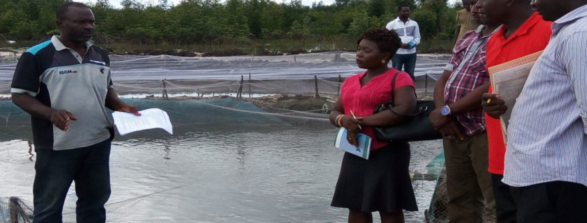 In-Season Wet Field Day in Edo/Delta Successfully Carried Out