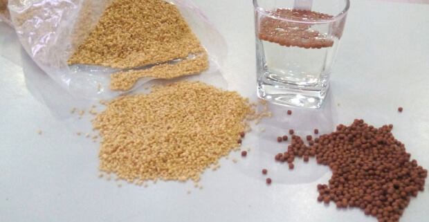 Secret for a Successful Fish Feed Formulation for Profitable Fish Farming Business (Part 1)