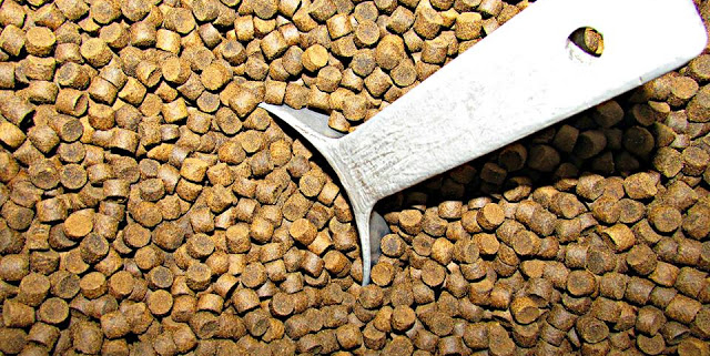 Secret for a Successful Fish Feed Formulation for Profitable Fish Farming Business (Part 2)