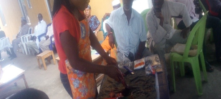 Training of Trainers on Aquaculture in Ondo State